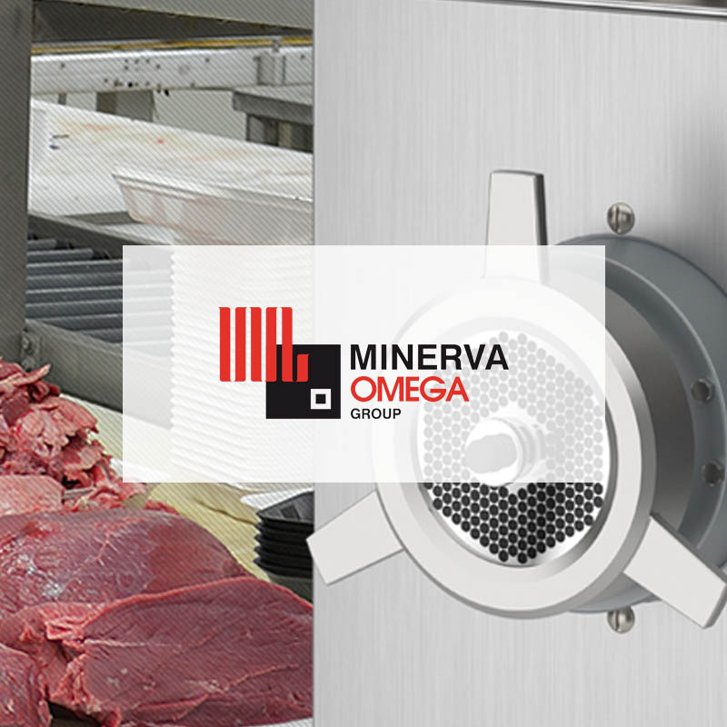Minerva